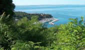 Trail On foot Triest - IT-19 - Photo 6