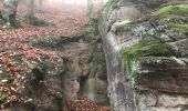 Trail Walking Niederbronn-les-Bains - 11-11-19 Wintersberg - Photo 10