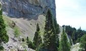 Randonnée Marche Romeyer - PAS DE PISON COL DES BACHASSON - Photo 8