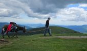 Tour Wandern Xonrupt-Longemer - 2024 RA Vosges J1 Rando âne sur les crêtes - Photo 3