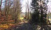 Randonnée Marche Saint-Jean-aux-Bois - en forêt de Compiègne_33_les Tournantes de l'étang Saint-Jean et des Prés Saint-Jean - Photo 2