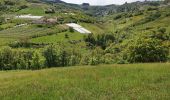 Tocht Stappen Valfleury - Valfleury - Découverte de ce petit Lourdes et de ses environs - Photo 19