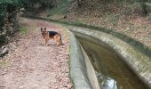 Trail Walking Mougins - Canal siagne LeNôtre - Photo 4