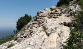 Excursión Senderismo Plan-d'Aups-Sainte-Baume - Saint-Pilon (Grotte aux Oeufs) - Photo 1