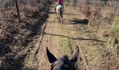 Trail Horseback riding Habay - Marbehan par le Trou du Bois - Photo 2