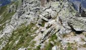 Randonnée Marche Pralognan-la-Vanoise - Pralognan - Col et pointe de leschaux - 17/07/19 - Photo 8
