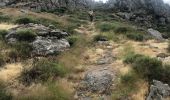 Trail Walking Rosis - Col de lourdTigas - Photo 3