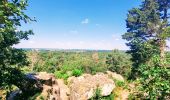 Tocht Stappen Fontainebleau - Sur les traces de Césaire Sempité - Fontainebleau rocher canon - Photo 3