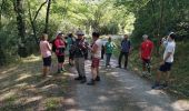 Tour Wandern Cintegabelle - Cintegab JP y - Photo 3