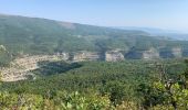 Tour Wandern Val-Buëch-Méouge - Pic de Saint Cyr / Antonaves - Photo 3