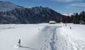 Trail Snowshoes Les Villards-sur-Thônes - Plateau de Beauregard - Photo 13