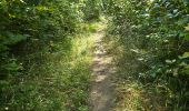 Randonnée Marche Buno-Bonnevaux - Buno-Bonneveaux - Polissoir de Grimery - Photo 14