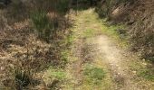 Trail Walking Rendeux - Cheoux Rendeux Chroix - Photo 5