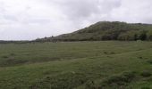 Tocht Stappen Le Marin - Cap Macré -Macabou par les mornes  - Photo 15