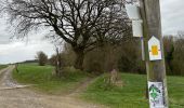 Tour Wandern Anthisnes - Marche Adeps Hody 10km - Photo 3