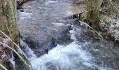 Trail Walking Bouillon - Rochehaut 110124 - Photo 15