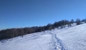 Tocht Sneeuwschoenen Bourbach-le-Haut - Sortie raquettes Hundsruck Belacker - Photo 6