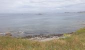 Tocht Stappen Saint-Pierre-Quiberon - quiberon  - Photo 2