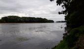 Tocht Stappen Gennes-Val-de-Loire - gennes - Photo 1