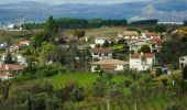 Tour Zu Fuß Folhadela - Percurso pedestre do Douro Vinhateiro III - Photo 9