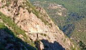 Tour Wandern Thuès-Entre-Valls - Gorges de Carança - Annie le 29 juin 2022 - Photo 1
