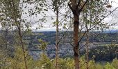 Trail Walking Malmedy - Malmedy (Bévercé - Ferme Libert- Mont - Chôdes) - Photo 14