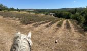 Trail Horseback riding Simiane-la-Rotonde - Provence 2025 J4 - Photo 13