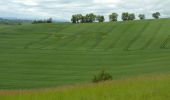 Randonnée Marche Frontignan-Savès - Coteaux du Comminges - Photo 1