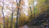 Trail Walking Saou - Grand et Petit Pomerolle - Forêt de Saoû - Photo 10