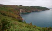 Tour Wandern Crozon - Pointe de Morgat - Cap de la Chèvre Boucle GR34 - 19.7km 500m 6h00 - 2019 09 13 - Photo 4