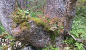 Tour Wandern Lajoux - Le crêt de la vigoureuse (le vrai) - Photo 11