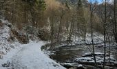 Tocht Stappen Monschau - A la découverte de Montjoie 🥾 - Photo 2