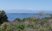 Tour Wandern Aléria - mer-etang de diane aleria - Photo 2