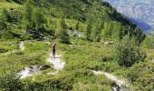 Percorso Marcia Peisey-Nancroix - Lac de l'Etroit - Photo 16