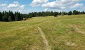 Randonnée Vélo électrique La Bresse - petit tour de la bresse - Photo 9