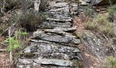 Randonnée Marche Bessèges - Besseges Aujac GR pays - Photo 8