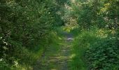 Trail Walking Pontgibaud - LA CHEIRE DE PONTGIBAUD - Photo 3
