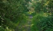 Randonnée Marche Pontgibaud - LA CHEIRE DE PONTGIBAUD - Photo 3