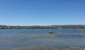 Trail Walking Peyriac-de-Mer - Peyriac de Mer - Salines  - Photo 1