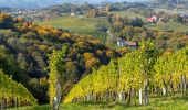 Tour Zu Fuß Leutschach an der Weinstraße - Glanzer Weintour - Photo 6