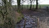 Tour Wandern Libramont-Chevigny - Lamouline - Photo 3