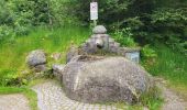 Excursión Senderismo Schluchsee - Forêt Noire : tour du lac Schluchsee - Photo 4