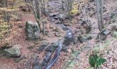 Trail Walking Aywaille - ninglinspo rando 21 - Photo 11