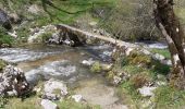 Trail Walking Engins - Pas du curé Pas de la Corne - Photo 13