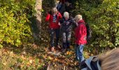 Trail Walking Saint-Fargeau-Ponthierry - Ponthierry Pringy 12-11-2019 - Photo 5