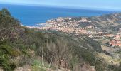 Excursión Senderismo Banyuls-sur-Mer - Banyuls sur Mer, chapelle notre Dame de la Salette - Photo 5