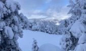 Tocht Sneeuwschoenen Lans-en-Vercors - 5,8km R Lans-en-V Vertige des Cimes AR - Photo 5