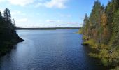 Tour Zu Fuß Kuusamo - Oulangan erämaareitti (Talvireitti) - Photo 5