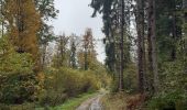 Trail Walking Theux - autour de Forestia - goulag pour animaux 