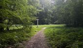 Trail Walking Compiègne - Randonnée en Forêt de Compiègne_51_le Mont du Tremble et les Beaux Monts - Photo 13
